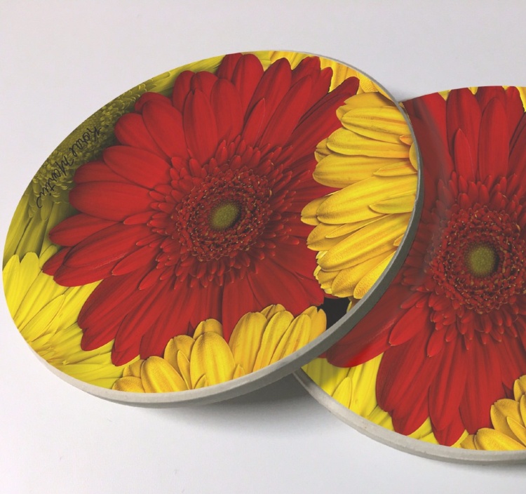 Gerbera Daisies Photo Sandstone Car Coasters, Sold as a pair, Floral Art